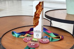 政院学子｜我院甘英东、孔雨芹二位学子参与第10届南萤杯国际华语辩论赛获季军